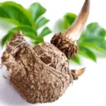 Konjac Glucomannan